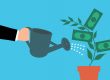 Smart Garden Kosten