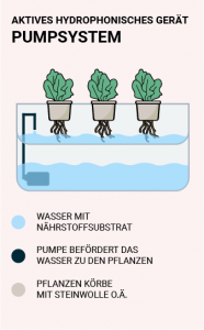 Indoor Garten Test | Bosch, Click & Grow, Plantui, Klarstein