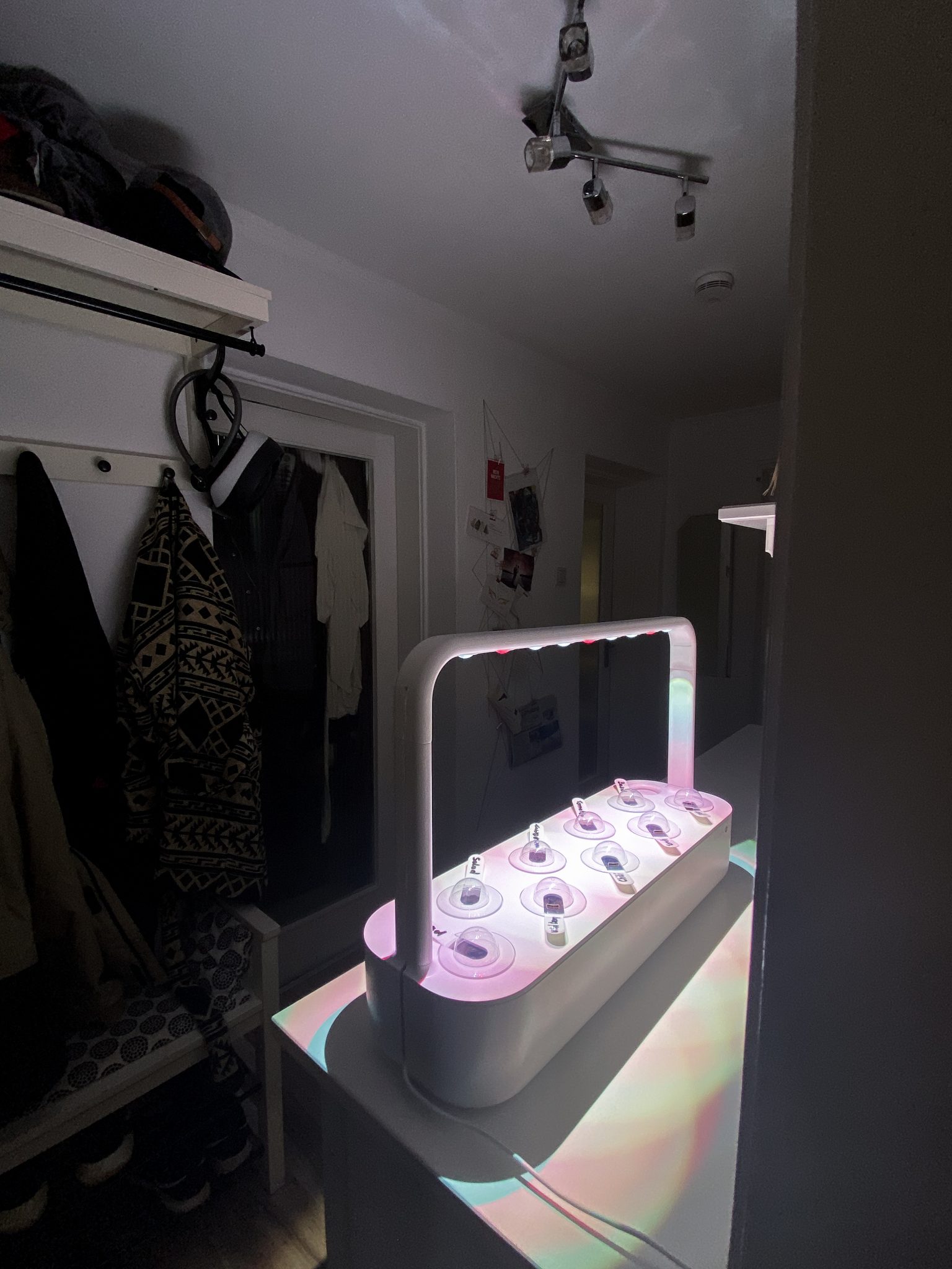 5 Regeln für den richtigen Standort | Indoor Garten Test 2021