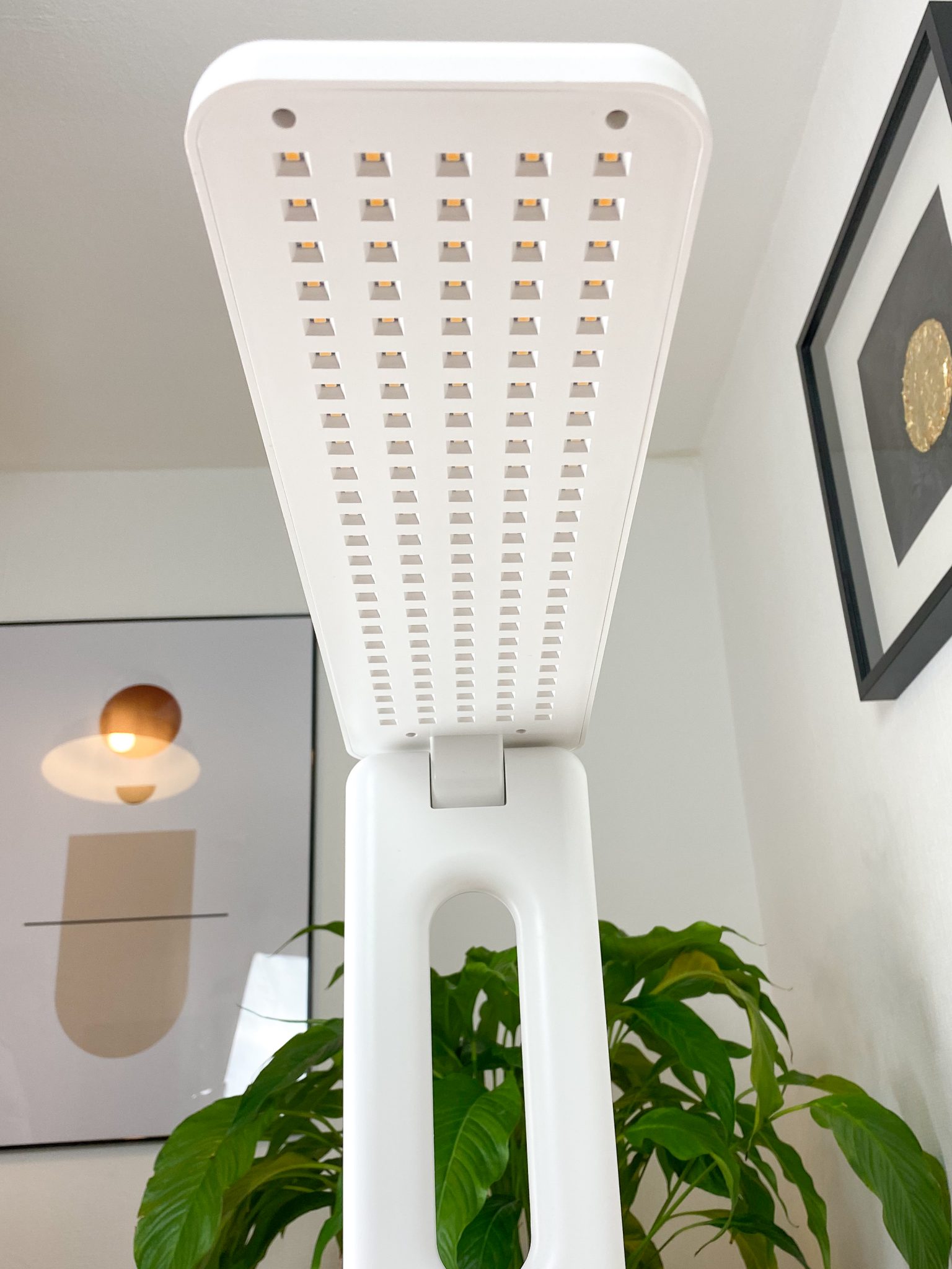 Klarstein Growit Test | Klarstein Smart Garden Erfahrung